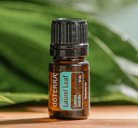 Картинка Эфирное масло doTERRA Лавровый лист, Laurel Leaf, 5 мл от магазина dōTERRA