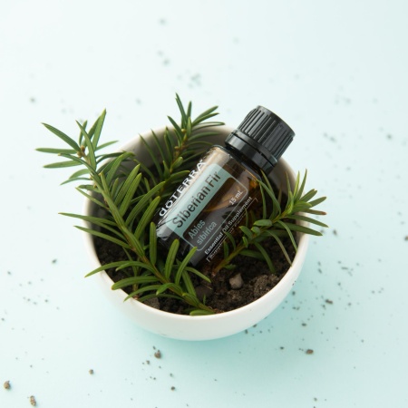 Картинка Эфирное масло doTERRA Сибирская пихта, Siberian Fir, 15 мл от магазина dōTERRA