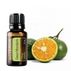 Картинка Эфирное масло dōTERRA Зеленый мандарин, Green mandarin, 15 мл от магазина dōTERRA