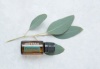 Картинка Смесь эфирных масел dōTERRA Эвкалипт (из 5-ти уникальных видов), Eucalyptus, 15 мл от магазина dōTERRA