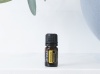 Картинка Эфирное масло dōTERRA Бессмертник, Helichrysum, 5 мл от магазина dōTERRA