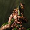 Картинка Масло для волос и бороды dōTERRA «Шинрин-Ёку», Shinrin-Yoku Hair & Beard Oil, 30 мл от магазина dōTERRA