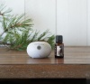 Картинка Набор dōTERRA портативный диффузор Bubble с датчиком движения и смесь Hygge, 15 мл от магазина dōTERRA