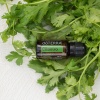Картинка Эфирное масло dōTERRA Кинза, Cilantro, 15 мл от магазина dōTERRA