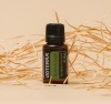 Картинка Эфирное масло dōTERRA Испанский шалфей, Spanish Sage, 15 мл от магазина dōTERRA