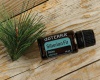 Картинка Эфирное масло dōTERRA Сибирская пихта, Siberian Fir, 15 мл от магазина dōTERRA